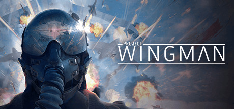 僚机计划/Project Wingman（更新v2.1.0）